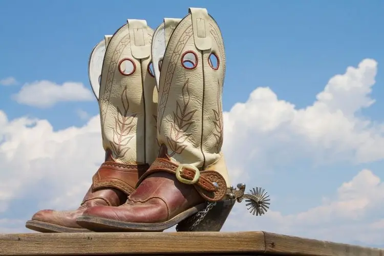 A pair of cowboy boots on the wood floor