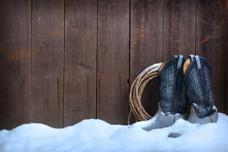 best waterproofing for cowboy boots