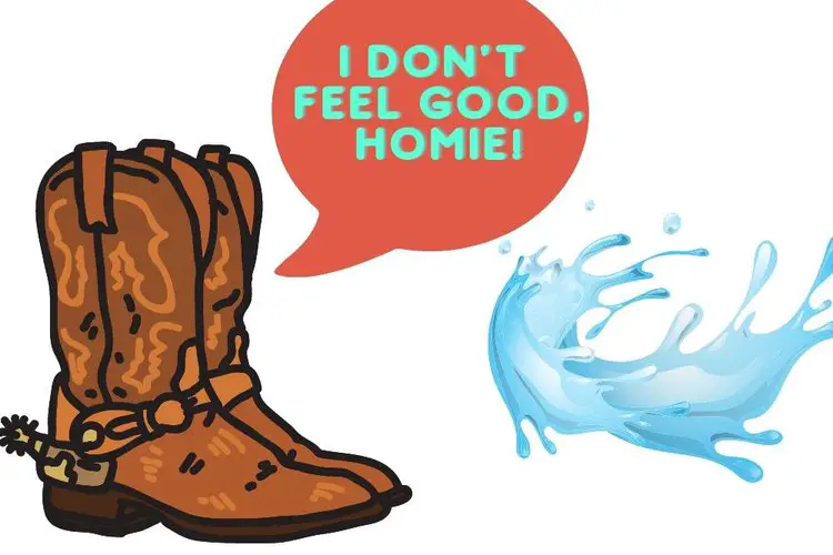 A pair of cowboy boots and water