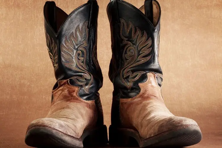 A pair of Cowboy boots