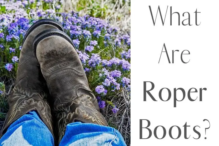 Man wear a pair of roper boots