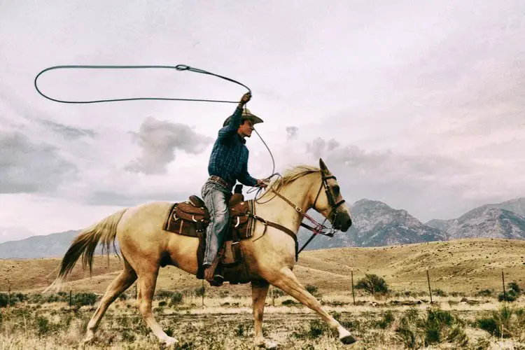 Cowboy on the ranch