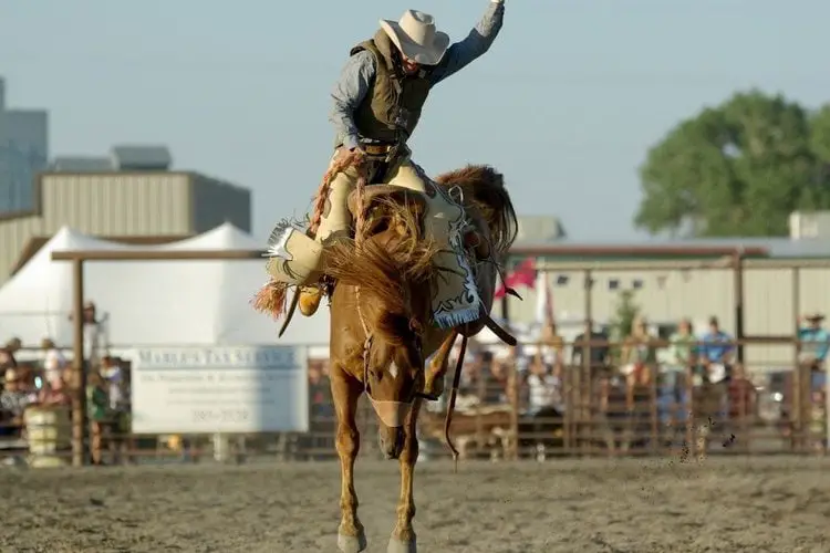a cowboy on his horse in rodeo performance