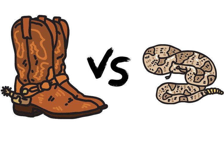 Cowboy boots vs rattlesnake