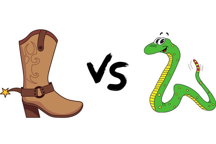 Cowboy boots vs rattlesnake