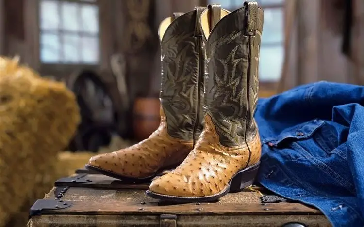 a pair of ostrich cowboy boots