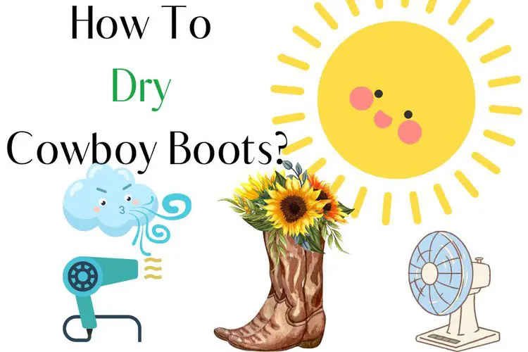 Cowboy boot, sun, fan, hairdryer, wind, and the title