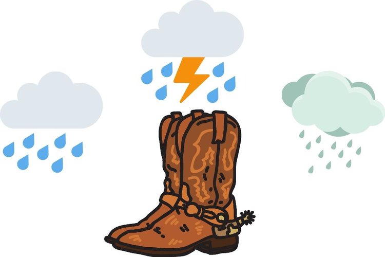cowboy boots in rain