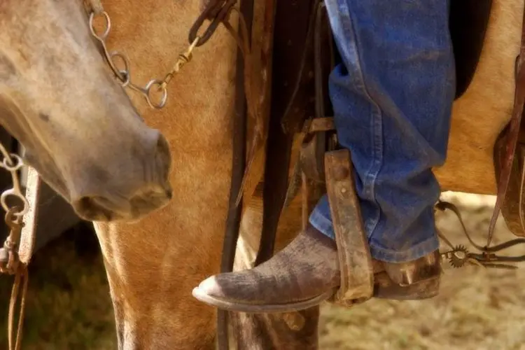 The 15 Best Cowboy Boots for Riding Horses in 2023 Expert Advice
