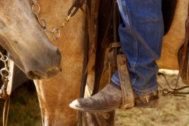riding horse with cowboy boots