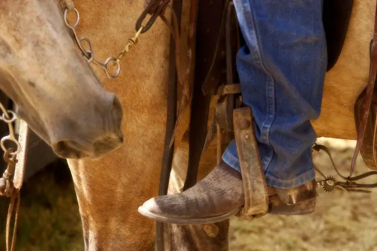 riding horse with cowboy boots