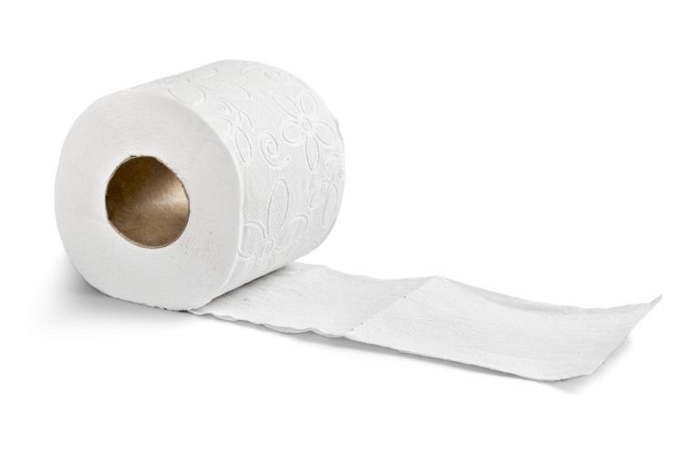 toilet paper