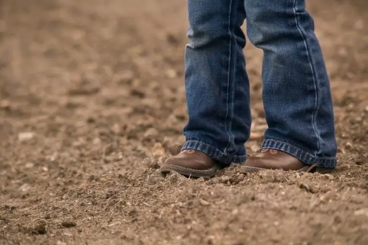 best levis for cowboy boots