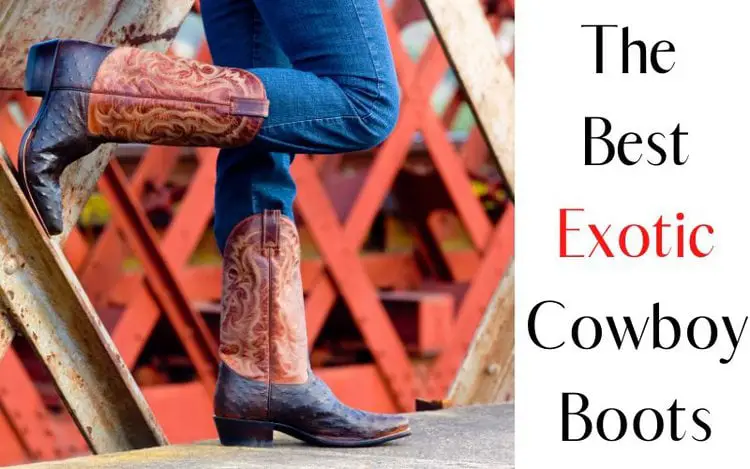 The 6 Best Exotic Cowboy Boots in 2024 (Update)