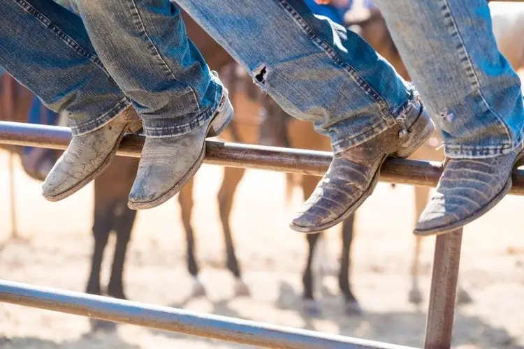 caiman cowboy boots