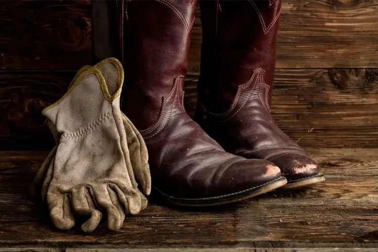 A pair of cowboy boots on the wooden floor