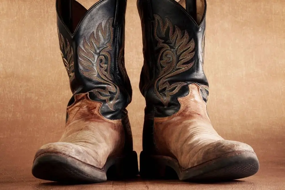 A pair of cowboy boots