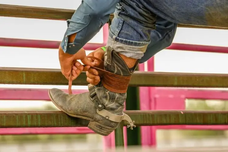 Men tighten his cowboy boots at leather areound the calf