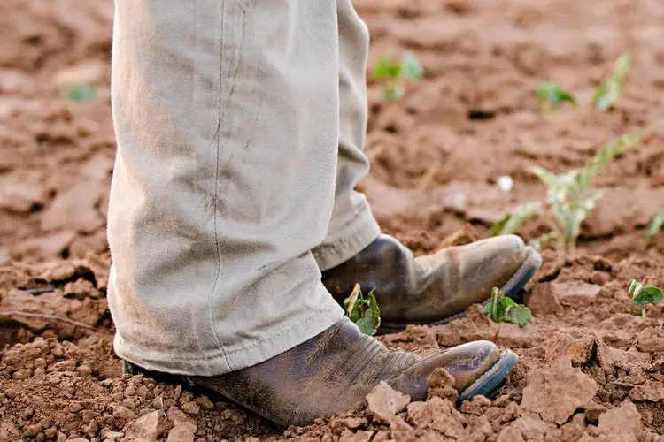 Men wear khakis pants and cowboy boots