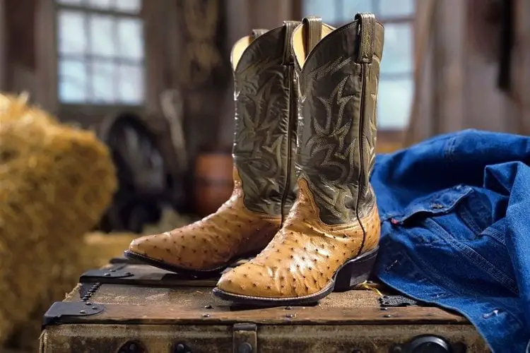 Ostrich cowboy boots