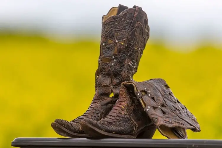 A pair of cowboy boots