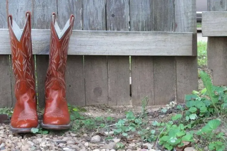 How Do I Keep My Cowboy Boots from Cracking? Detailed Instructions