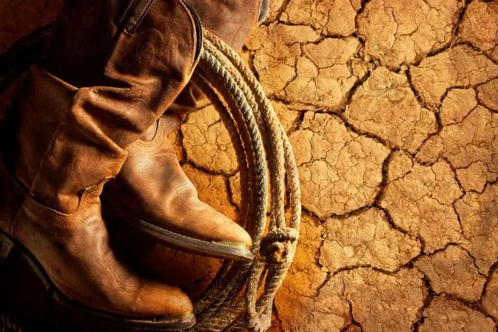 How To Remove Mold From Cowboy Boots