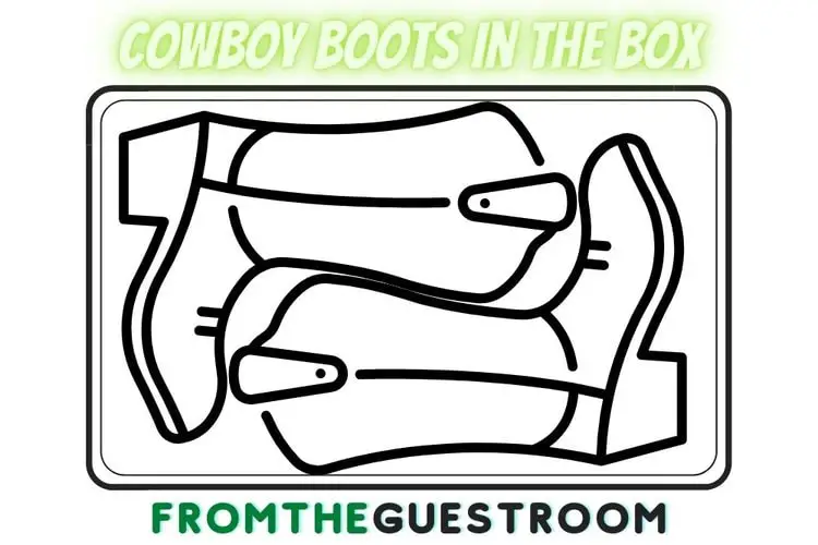 Cowboy boots in the box