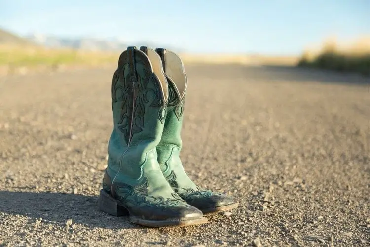 How To Remove Mold From Cowboy Boots