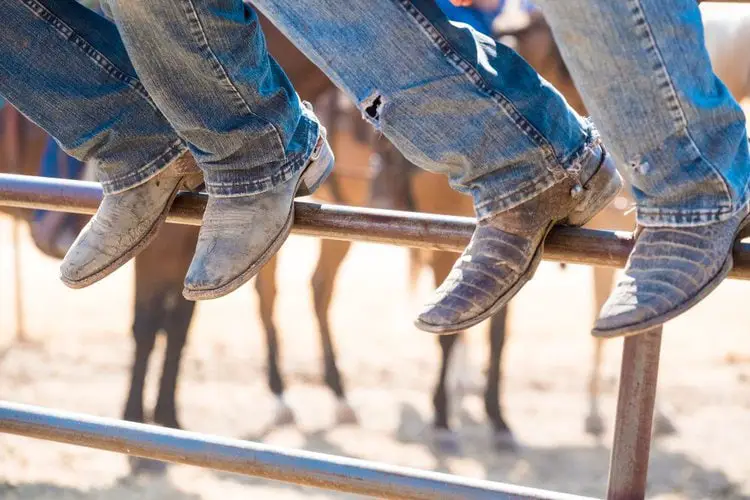 Man wear cowboy boots with jeans sit on the wooden fence