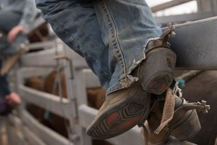Men wear cowboy boots sit on the fence