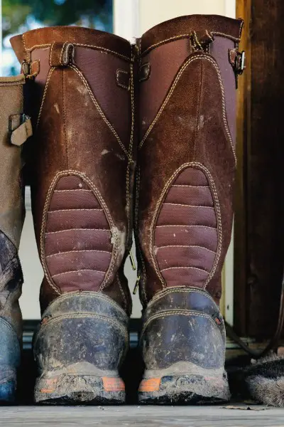 A pair of snake boots