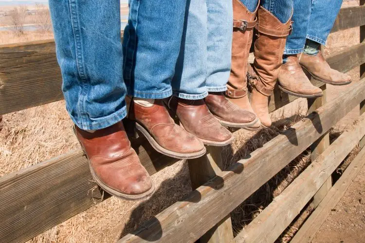 Four people wear bootcut jeans with brown cowboy boots