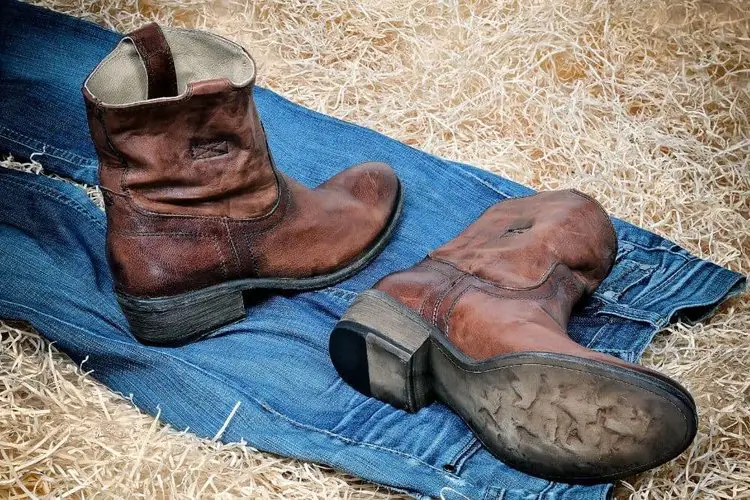 A pair of ankle cowboy boots