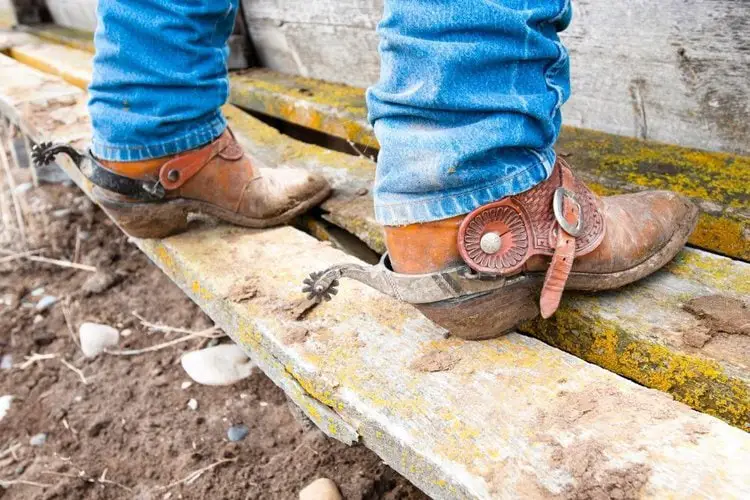 Man wear cowboy boots for construction sites