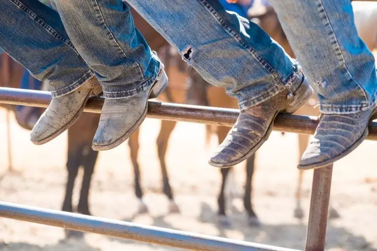 Mans wear cowboy boots sit on the wooden fence