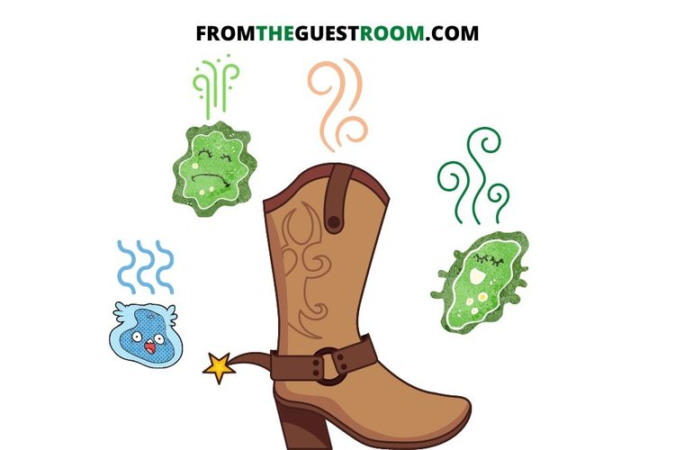 Smelly mold cowboy boots