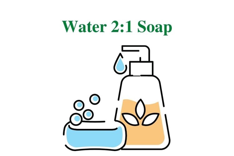 Water 2:1 Soap