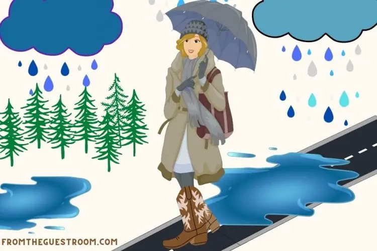 Can You Wear Leather Soled Cowboy Boots In The Rain? From The Guest Room