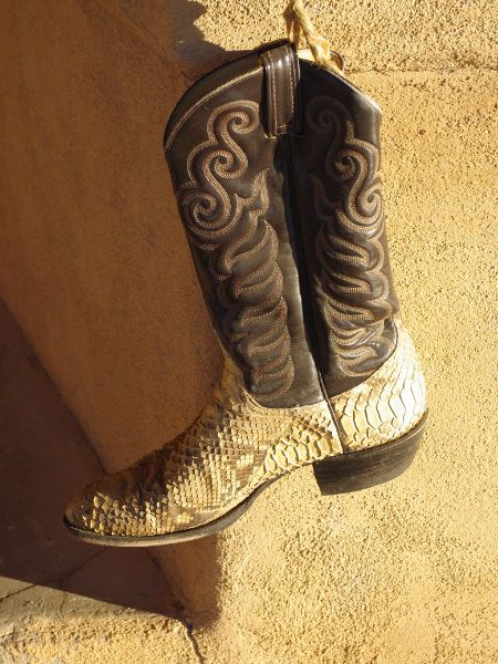 A snakeskin cowboy boot is hanging outside