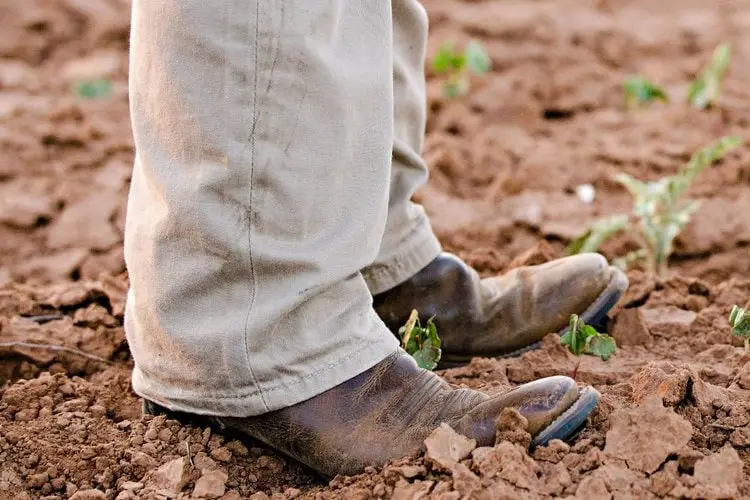 Cowboy boots with comfortable khaki