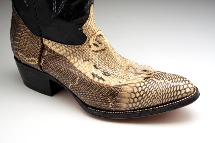 Snakeskin cowboy boot