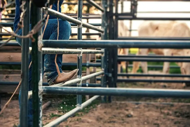 Men wear cowboy boots stand in the ranch