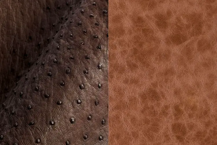 Ostrich leather versus cowhide