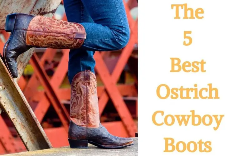 The 5 best ostrich cowboy boots