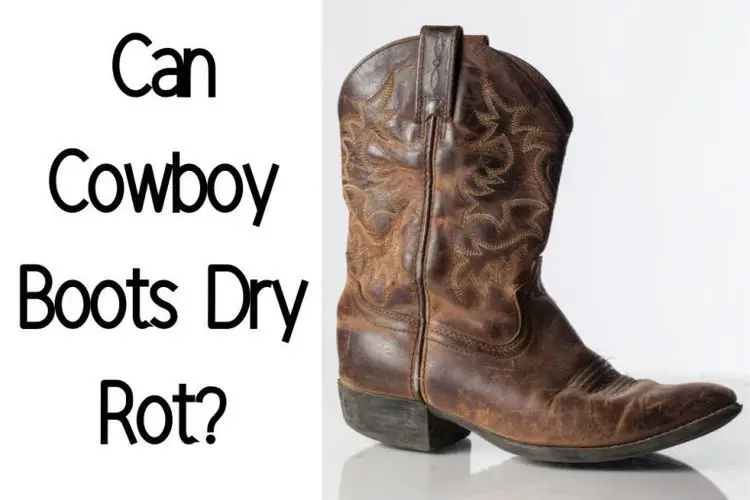 Can Cowboy Boots Dry Rot? And How To Prevent It From The Guest Room