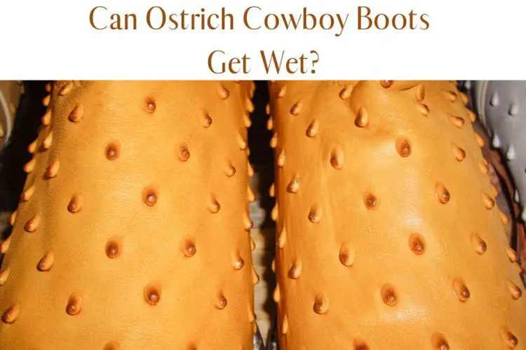 Can Ostrich Cowboy Boots Get Wet? And What You Should Do - From The ...