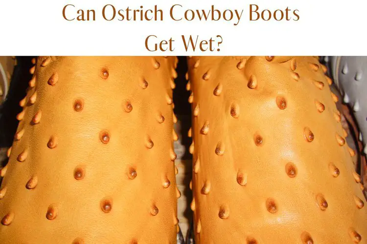 The Vamp of ostrich boots