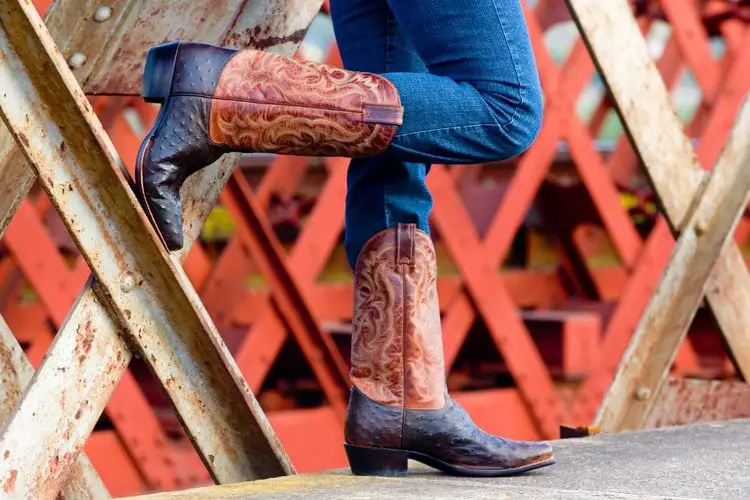 Women wear ostrich cowboy boots