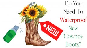 Do You Need To Waterproof New Cowboy Boots? - From The Guest Room